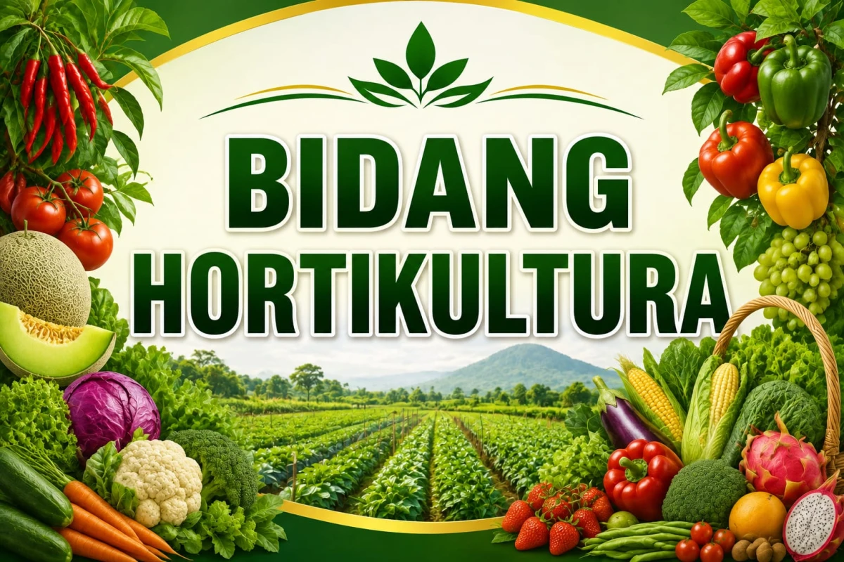 Bidang Hortikultura